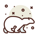 animals,ecology,sun,nature,global warming,environment,polar bear,melting